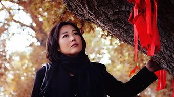 九九伦理片在线观看,揭秘禁片背后的故事与争议