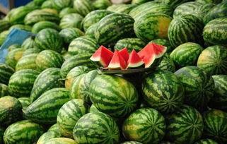 定远网红吃瓜事件真相,揭秘背后真相与反思